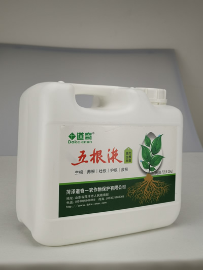 五根液（桶裝 新包裝）